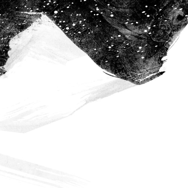 Piz Plakat – Bild 2